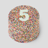 Rainbow Sprinkle Cake