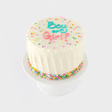 Gender Reveal Cake