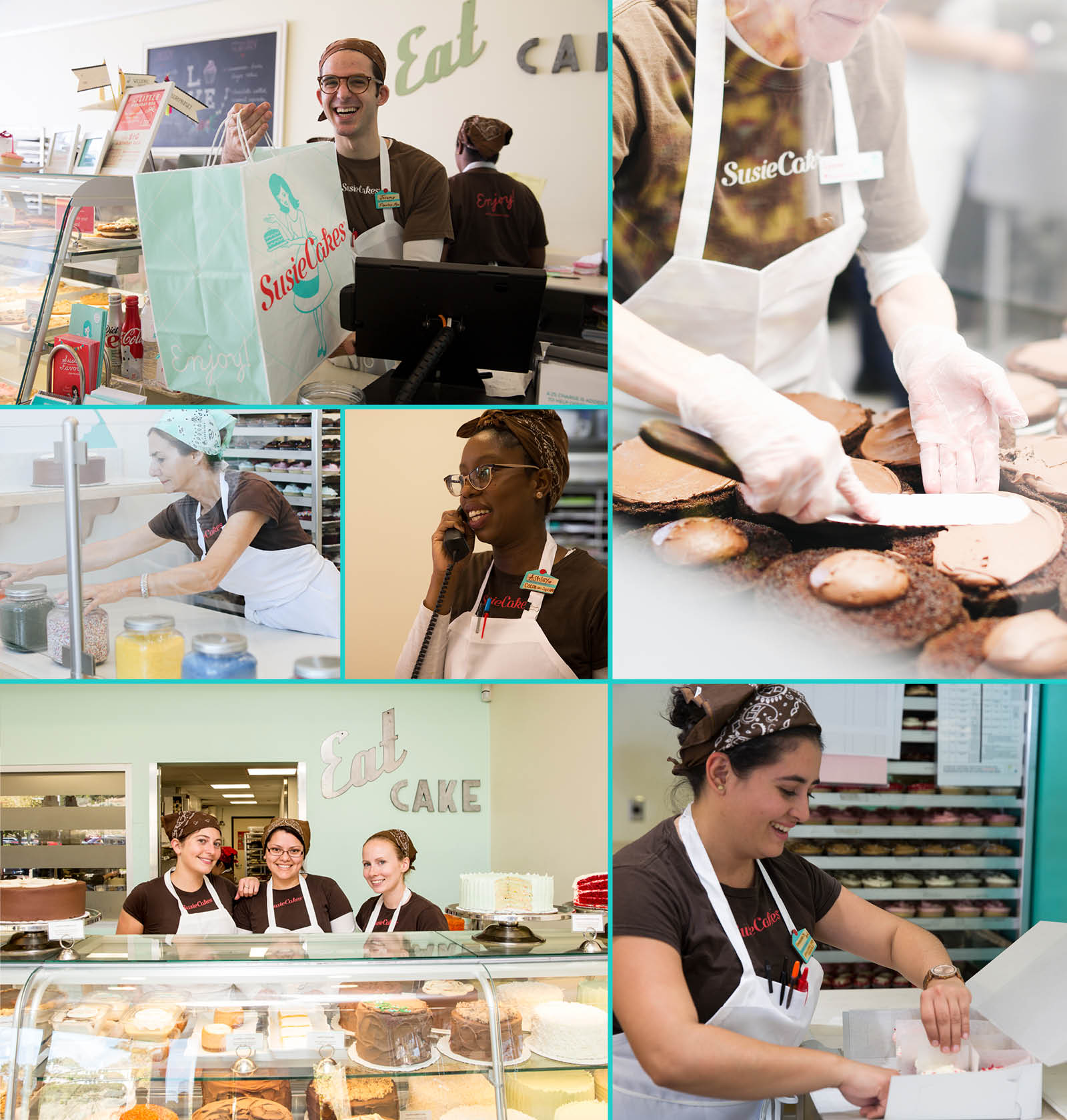 Collage of Team Members