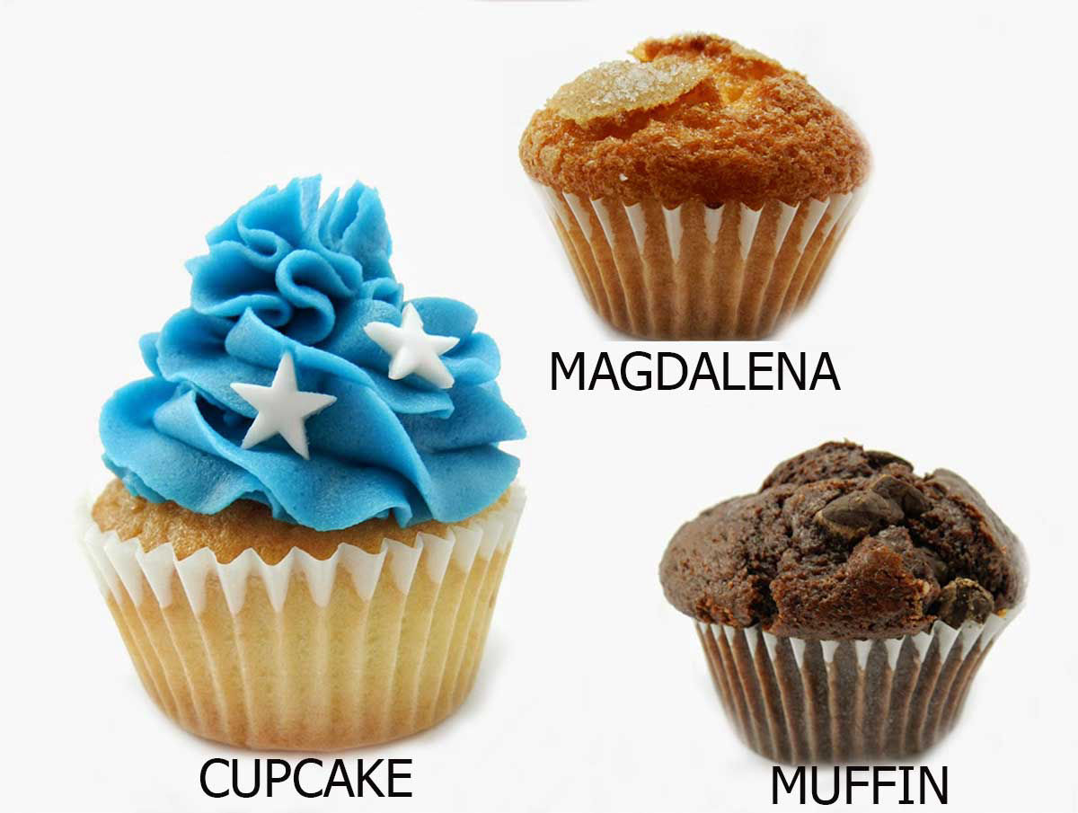 Differences, cupcake, muffins and magdalena